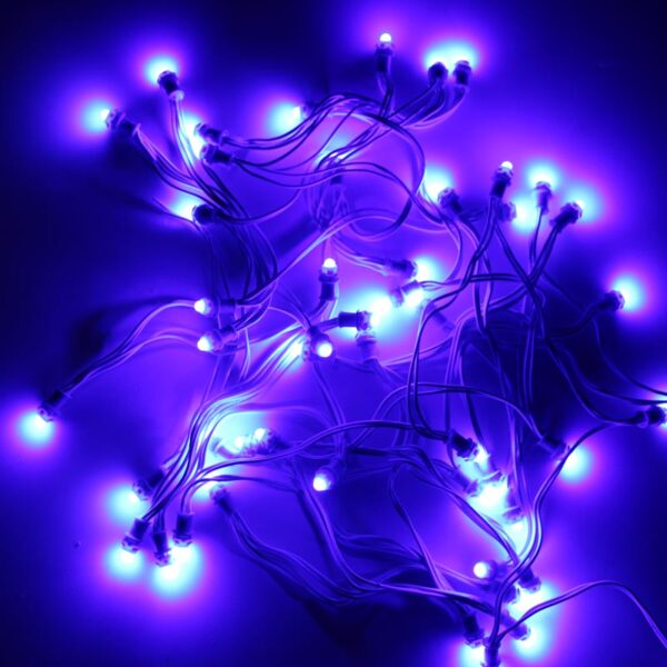 Blue 9mm 12v 5 inch Pixel Led Serial Decoration Light - 5 meters - 50 Leds - Image 2
