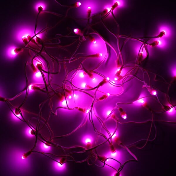 Pink 9mm 12v 5 inch Pixel Led Serial Decoration Light - 5 meters - 50 Leds - Image 2
