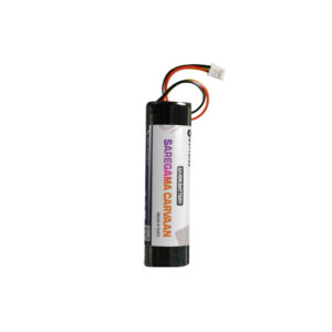 Saregama Carvaan Battery
